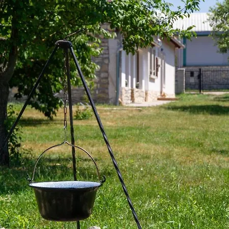 Főnix Ház *