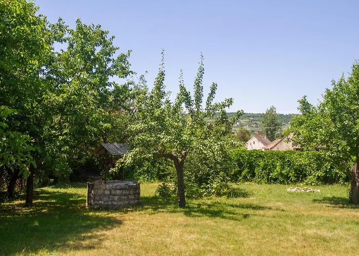 Fonix Haz アパート *